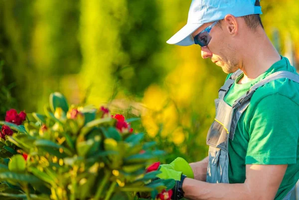 Primavera manutenzione del giardino — Foto Stock