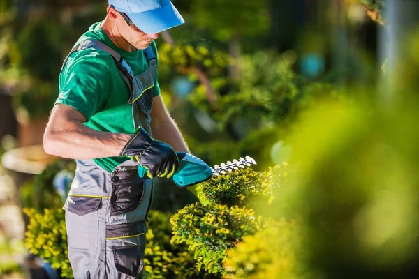 Plantas de Primavera Trimming Trabalho — Fotografia de Stock