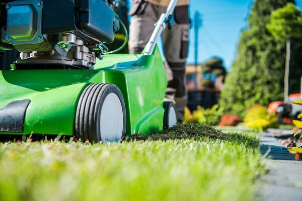 Dethatcher Work Lawn Care — Stock Photo, Image