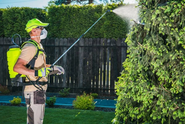 Tuin Insecticide door te spuiten — Stockfoto