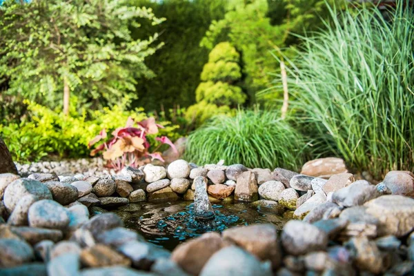 Маленький садовый пруд — стоковое фото