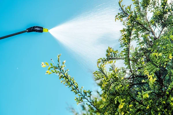 Insektizid auf Baum sprühen — Stockfoto