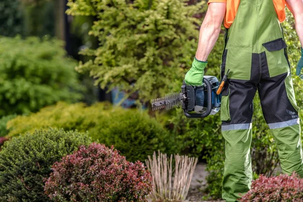 Bensinbusktrimmer — Stockfoto