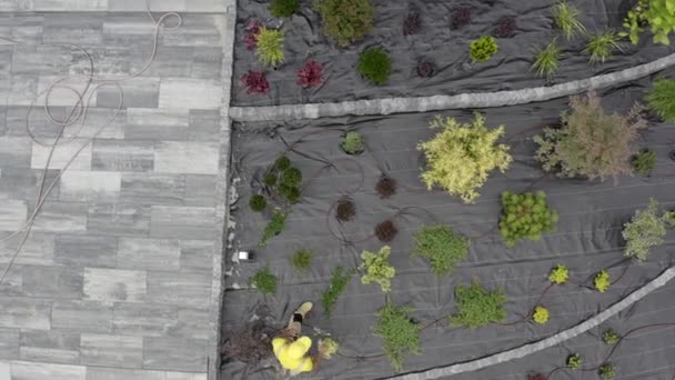 Images Aériennes Du Jardin Résidentiel Récemment Développé . — Video