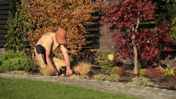 Gärtner pflanzt neue Blumen, die Blumenzwiebeln tief in der Erde bedecken. — Stockvideo