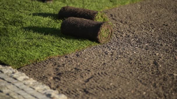 Nueva instalación de césped de césped por jardinero profesional. Rollos de hierba — Vídeo de stock