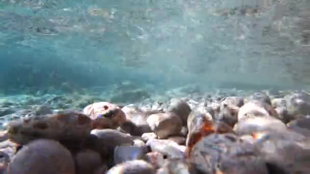 Kroatië, Europa. Adriatische Zee. Rocky Sea Bed Onderwater Beelden. — Stockvideo