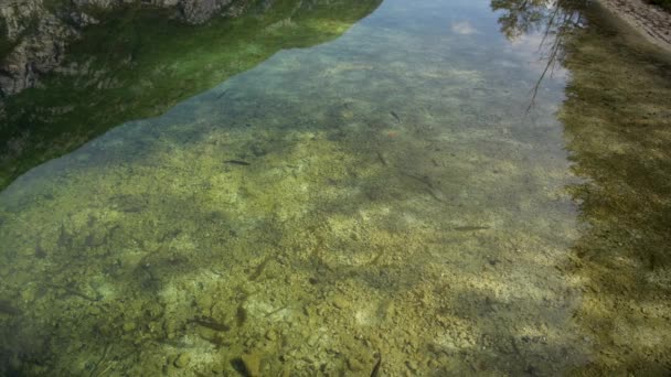 Parco nazionale del Triglav . — Video Stock