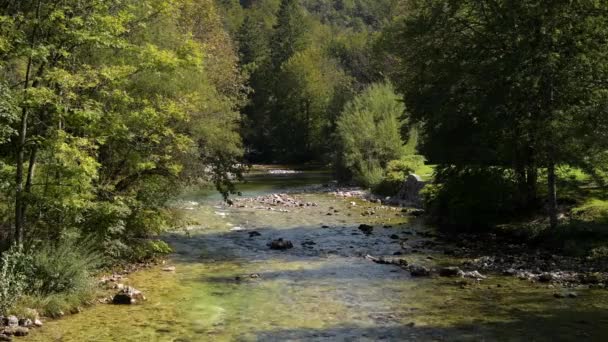 特里格拉夫国家公园上Carniola的Sava Bohinjka河 — 图库视频影像