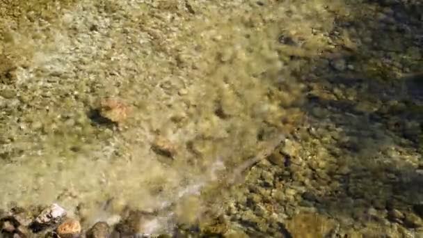 Czysta woda rzeczna z góry. region alpejski. — Wideo stockowe