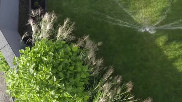 Sistema de riego automático jardín patio trasero por aspersores . — Vídeos de Stock