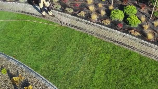 Watering Newly Installed Natural Grass Turfs in a Garden. — 비디오