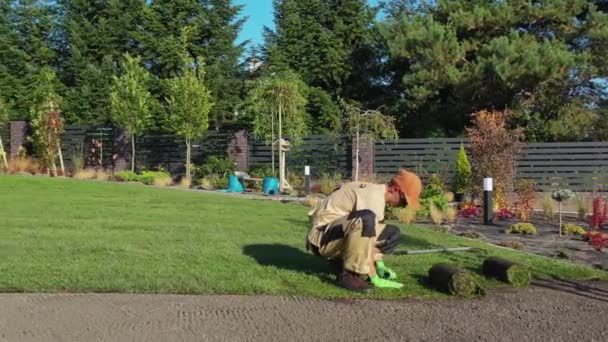 庭と造園。30代のプロ白人庭師による自然草のインスタレーション. — ストック動画