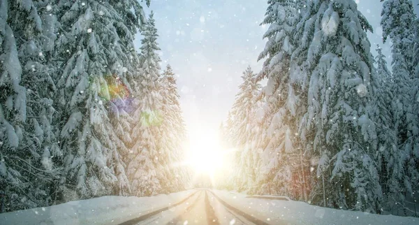 País das maravilhas da estrada de inverno — Fotografia de Stock