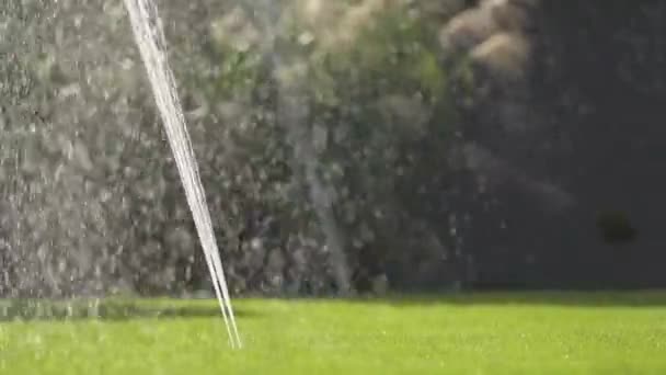 Arroseur Jardin Eau Arrosage Pelouse Arrière Utilisant Système Irrigation Souterraine — Video