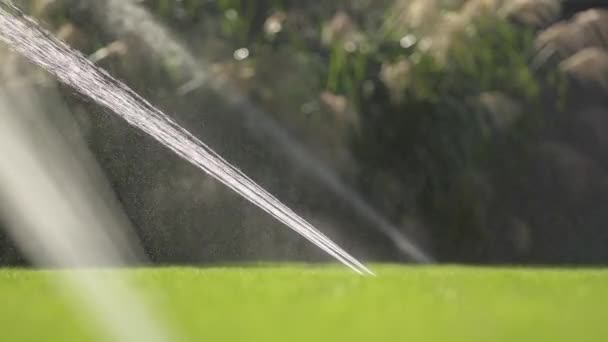 Running Field Water Sprinkler Cámara Lenta Tecnologías Del Jardín — Vídeo de stock