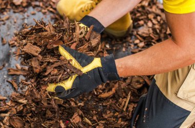 Bahçe dekoratif ağaç kabuğu cipsleri