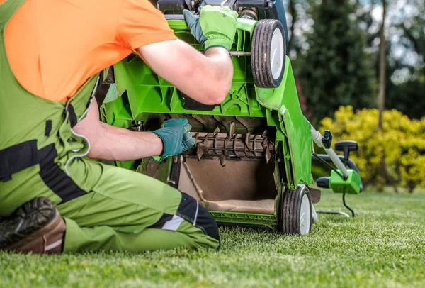 Nurmikon Scarifier ongelma — kuvapankkivalokuva