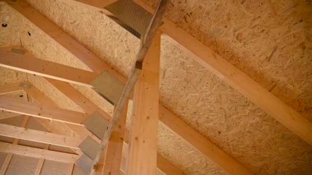 Plywood Och Balkar Trähus Bostadskonstruktion — Stockvideo