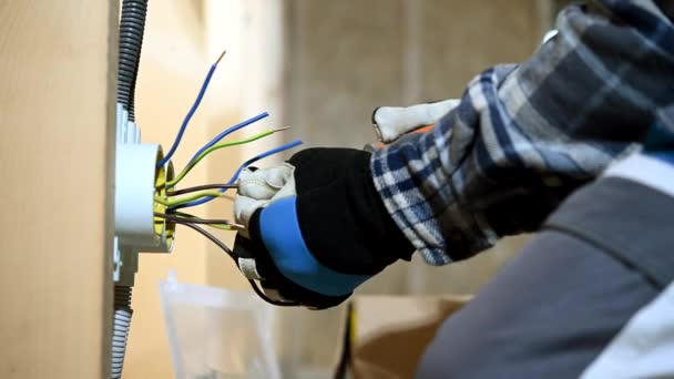 Fechar Fios Descascamento Trabalhador Preparando Para Instalar Tomadas Elétricas — Vídeo de Stock