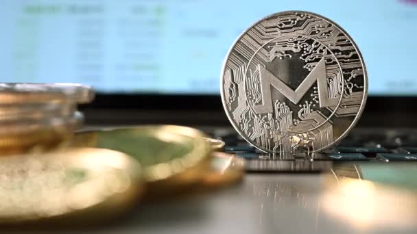 Pan Shot Criptomoneda Representada Como Moneda Plata Con Sitio Web — Vídeos de Stock