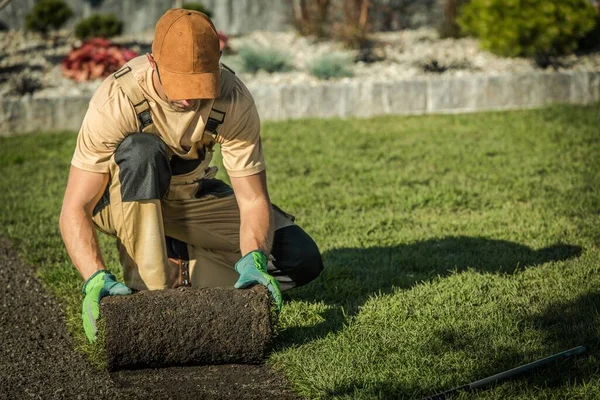 庭の芝生の技術者の労働者はロールから新しい自然草をインストールします — ストック写真
