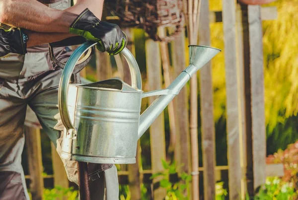 Men Large Metal Watering Can Preparing Late Afternoon Garden Plants — Stok Foto