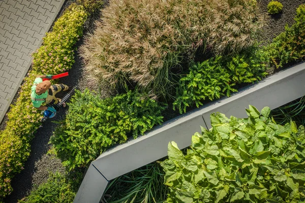 Paisagismo Trabalhador Aparar Sebes Jardim — Fotografia de Stock