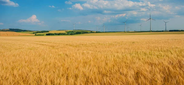 有小麦覆盖的丘陵和风车的农田景观 — 图库照片