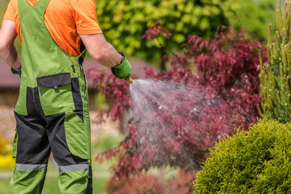 Männlicher Gärtner Wässert Sträucher Und Sträucher Garten Mit Schlauch — Stockfoto