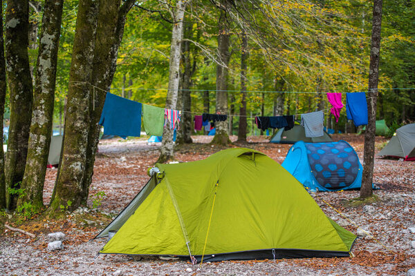 Лето в кемпинге в лесу с палатками и вешалкой прачечной
.