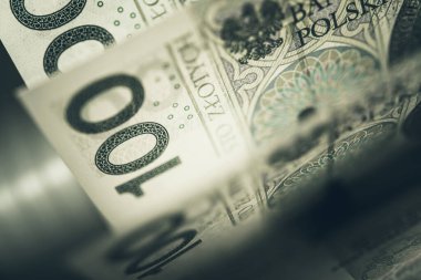 Yüz Polonyalı Zloti Banknotları Kapanış Fotoğrafı. Polonya Para Birimi Finans Teması. Faturalar Makro Kapanış.