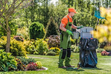 Male Groundskeeper Maintaining And Cleaning Outdoors Area Of Residential Garden After Raking Pruning And Trimming Plants.  clipart