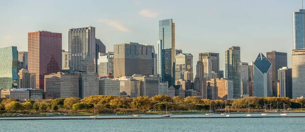 Panoramablick Auf Die Stadt Mit Vielen Hohen Gebäuden Park Körper — Stockfoto