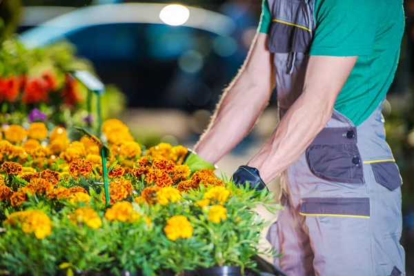 Trabajador Masculino Caucásico Organiza Plantas Coloridas Flores Exhibición Centro Del — Foto de Stock