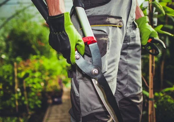 Close Van Mannelijke Werknemer Tuin Houden Snijden Snoeien Hand Apparatuur — Stockfoto