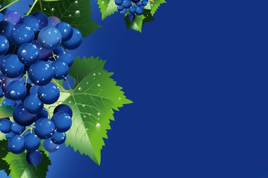 Sarmaşıktan sarkan olgun üzümlerden oluşan canlı yeşil ve mavi grafik tasarımı.