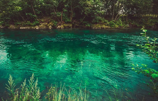 Unberührte Kristallklare Gewässer Des Norwegischen Flusses Mit Umliegenden Bäumen Und — Stockfoto