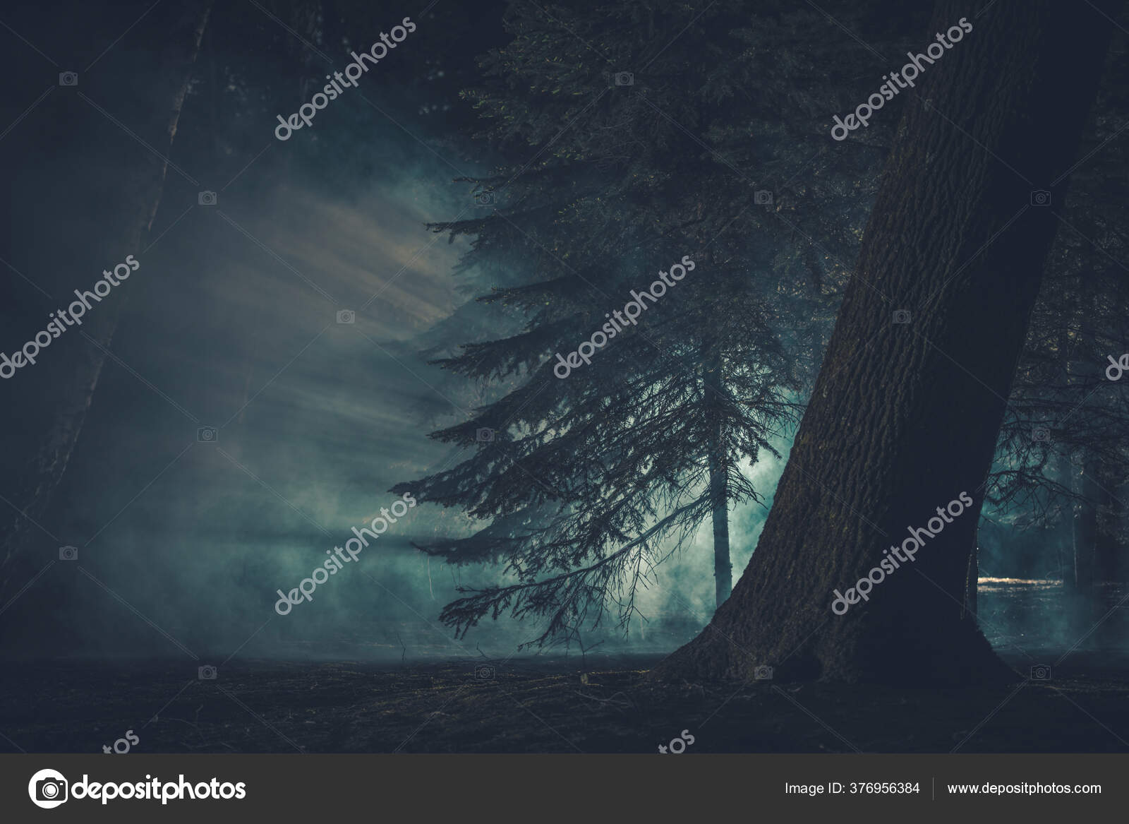 Dunkler Geheimnisvoller Wald Bedeckt Von Seltsamem Nebel Gruseliges  Halloween Waldkonzept – Stockfoto © welcomia #376956384, image size:1600x1167
