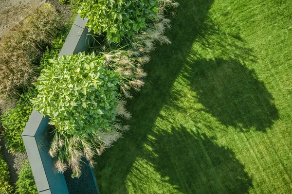 Vue Aérienne Jardin Résidentiel Cour Arrière Paysage Heure Été — Photo