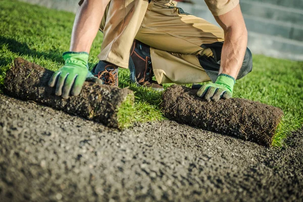 Naturalne Trawy Turfs Instalator Temat Ogrodniczy Mężczyzna Rasy Kaukaskiej Trzydziestce — Zdjęcie stockowe