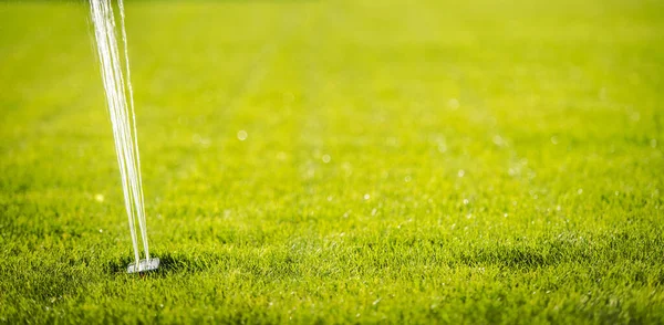 Residential Backyard Garden Lawn Automatic Sprinkler Gardening Landscaping Theme Panoramic — Stock Photo, Image