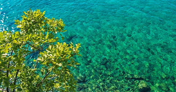 Letní Prázdninová Destinace Scénická Tyrkysová Mořská Pobřeží Skalnatá Krajina Pobřežní — Stock fotografie