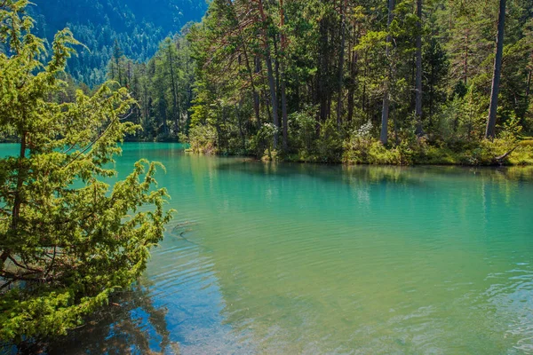 Lac Bavarois Pittoresque Heure Été Dans Les Alpes Allemandes Thème — Photo