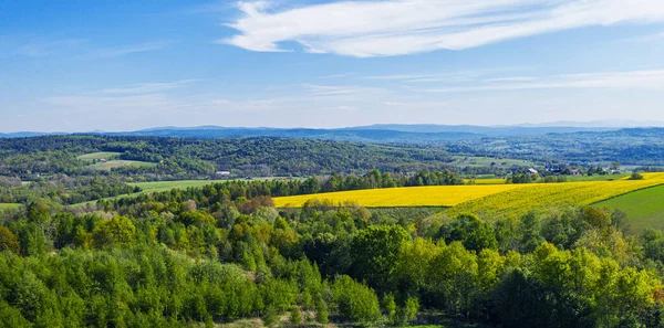 Lesser Poland Krakow County Scenic Late Spring Landscape Yellow Rapeseed — Stock Photo, Image