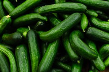 Piyasada satılan taze organik salatalık