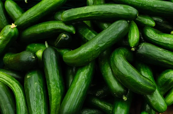 Piyasada satılan taze organik salatalık