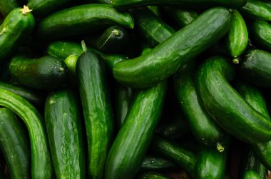 Piyasada satılan taze organik salatalık