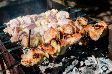 Barbekü doğada yemek.