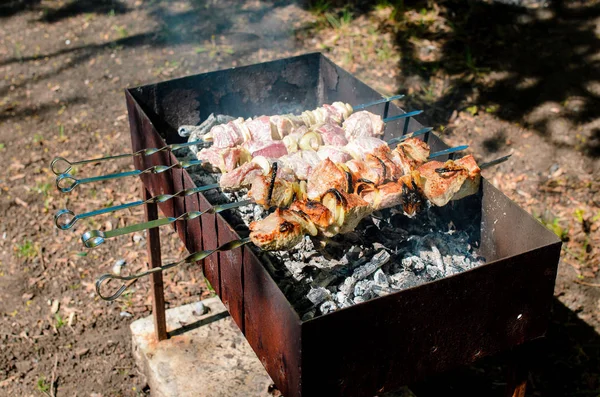 Főzés a grill a természetben. — Stock Fotó